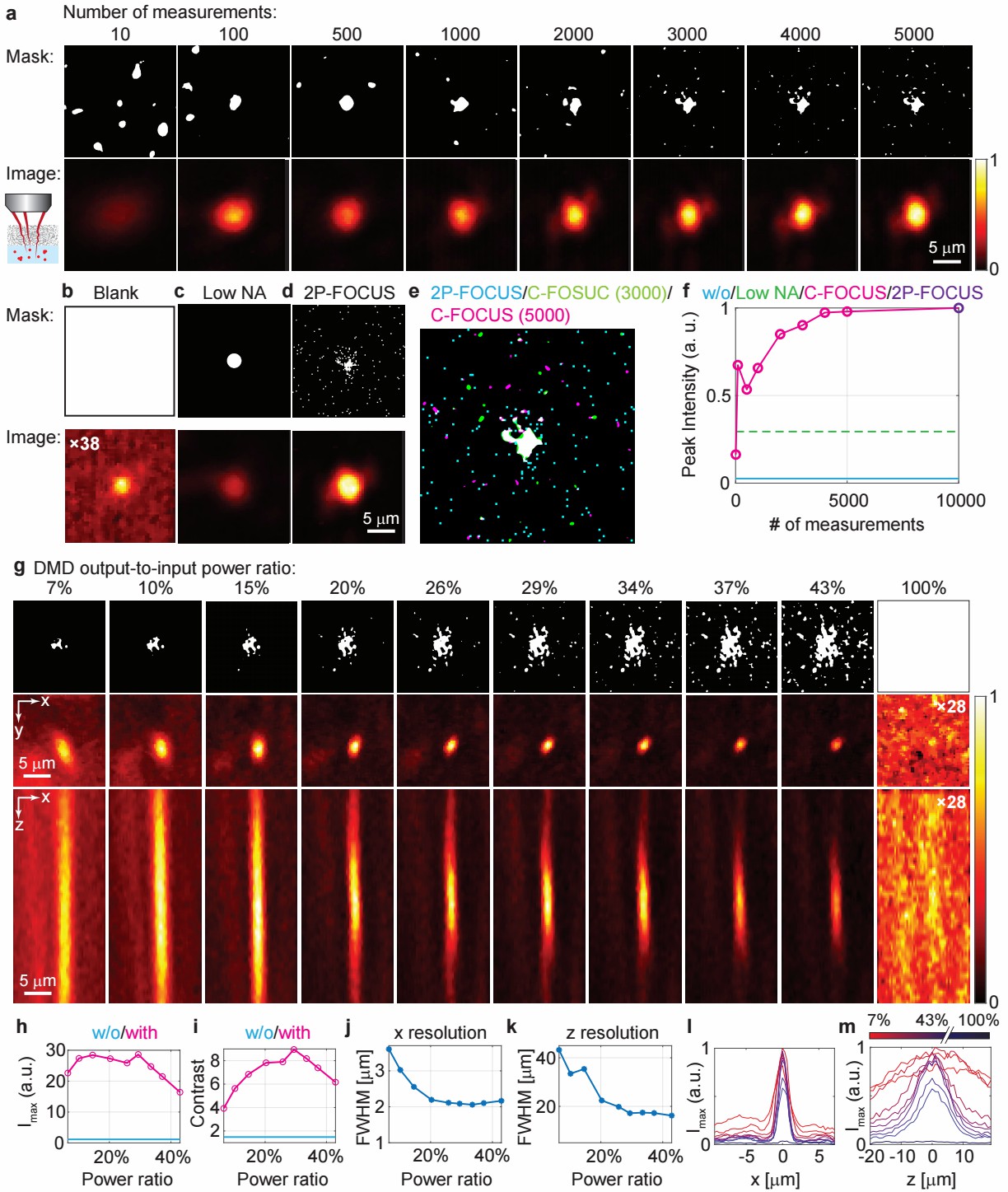 Progressive Encoding for Neural Optimization